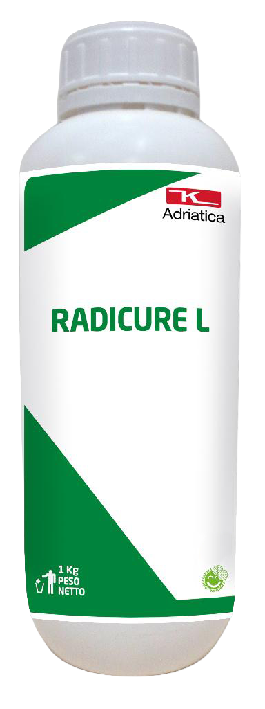 RADICL-ST